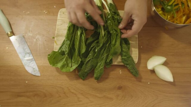 Swiss chard being laid out on a kitchen table, ready to be cut. Work table with knives, wood and sun rays in a warm environment. Overhead perspective.