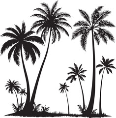 silhouette of coconut tree