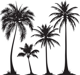 silhouette of coconut tree