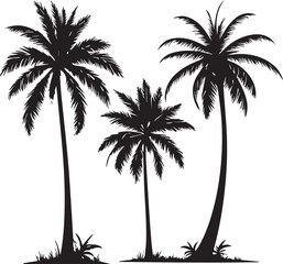 silhouette of coconut tree