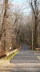 The forest view with the narrow country road across them in winter