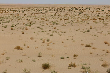 Expansive desert landscape in Jowzjan Province, Afghanistan with sparse vegetation