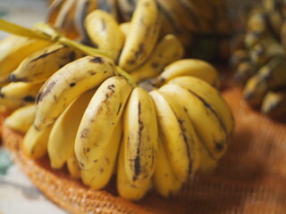 Ripe bananas are yellow. The scientific name for bananas in Latin is Musa paradisiaca