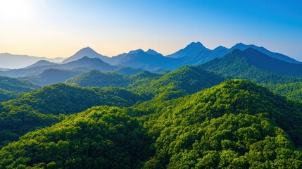 Obraz premium Forested mountains hiding solar panels promoting nature-friendly tech integration