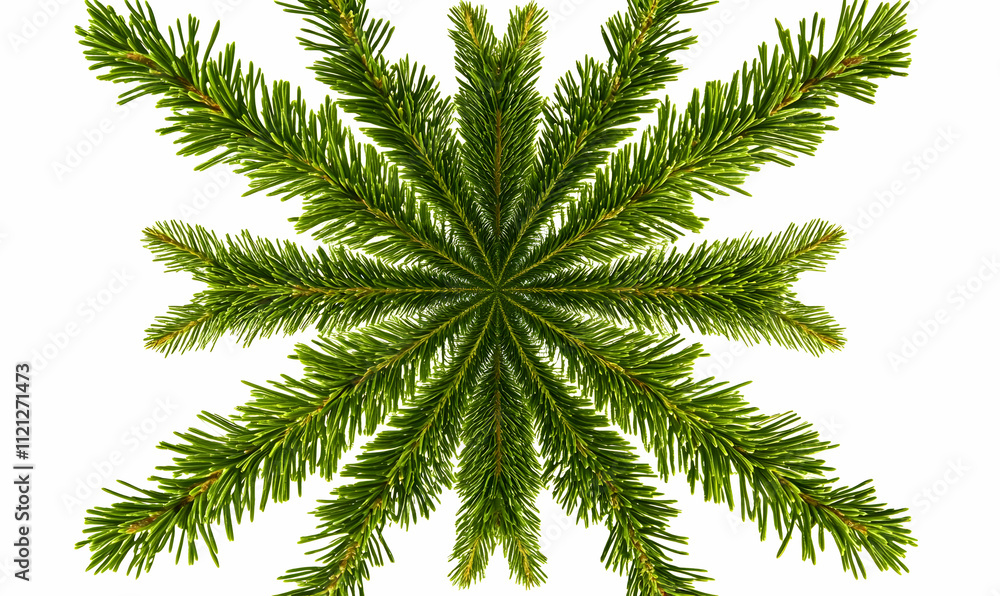 Poster a symmetrical arrangement of evergreen branches resembling a snowflake.