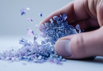 手で紫色の花びらを優しく散らす瞬間の美しさ