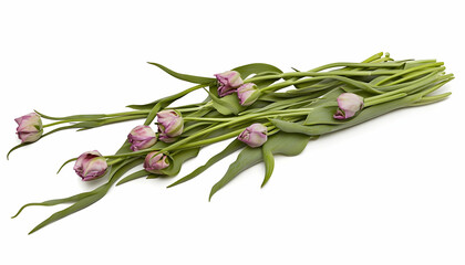 Fototapeta premium A bouquet of pink tulips arranged with green leaves, ideal for decoration or gifting.