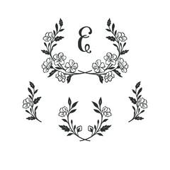 Hand drawn laurels, wreaths and branches.