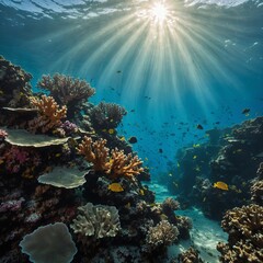 Fototapeta premium An underwater shot of a vibrant coral reef with rays of sunlight piercing through.An underwater shot of a vibrant coral reef with rays of sunlight piercing through.