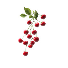 Cherries on a Branch: A Luscious Display of Nature's Sweetest Delights in Vibrant Detail