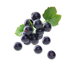 Fresh and Juicy Black Grapes with Vibrant Green Leaves Perfect for Healthy Snacking and Cooking