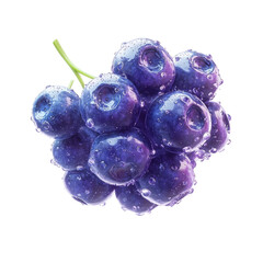 Vibrant Bunch of Plump Purple Grapes Glistening with Water Droplets Against a White Background