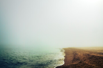 Sea supralitoral after a winter storm. Waves threw up a lot of organic residues on sand, taking...