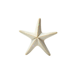 White Starfish, Perfect for Nautical and Beach-Themed Designs, PNG Format