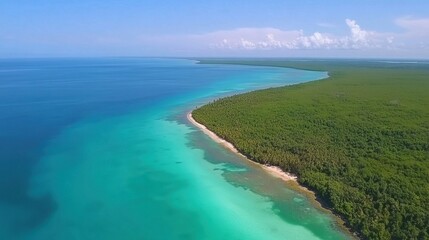 Fototapeta premium Aerial View of Tranquil Blue Waters Meeting Lush Green Coastal Forest