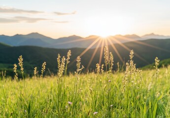 Obraz premium 夕日の輝きと緑の草原が広がる美しい山の風景