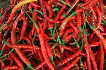 red hot chili peppers