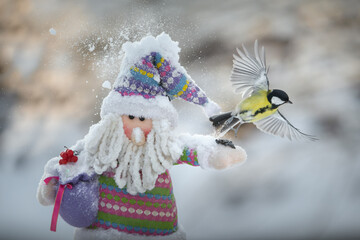 Emotional beautiful picture with Santa Claus and titmouse. Frosty sunny day.
