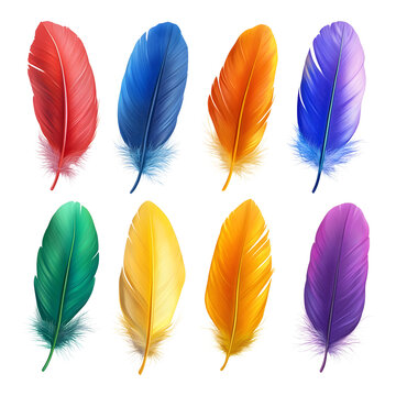 Six sets of colorful feathers isolated on transparent or white background, png