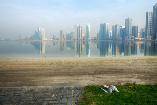 A dead seagull against the backdrop of a drying lake and city skyscrapers. Babylonian technical false pride and bad urban ecology. Technogenic civilization unhappiness concept