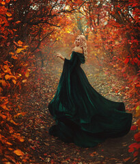 Art photo real person. Fantasy beautiful lady blonde woman walking in autumn nature forest trees...