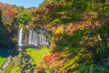 富士宮市から紅葉に彩られた白糸の滝にかかる虹