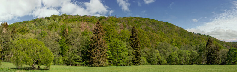 das Selketal Harz Landschaft im frischen grün