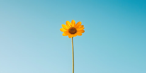 One Small Yellow Petal of a Sunflower Flying Against a Blue Sky - Light and Delicate Moment of Nature in Motion