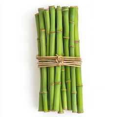 Fototapeta premium Fresh green bamboo stalks tied together neatly, showcasing natural beauty