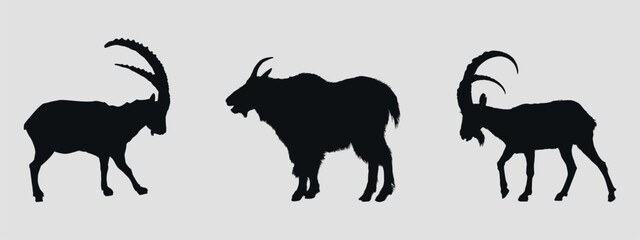 Set of black silhouettes of mountain goats. Vector on gray background