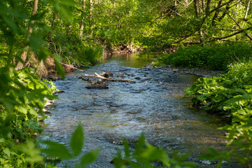 die Selke bei Meisdorf Harz