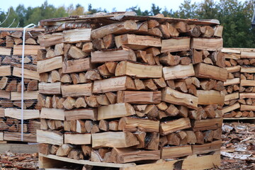Birch firewood split and stacked on a pallet
