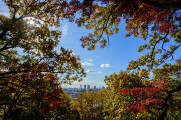 Naklejka premium 秋の紅葉が始まる頃、神戸市保久良神社より市街地をのぞむ