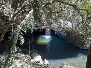 natural bridge waterfall springbrook NP QLD australia