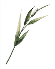 Obraz premium Minimalistic botanical illustration of a green leaf stem 