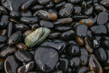 The colors and patterns on the stones are beautiful.