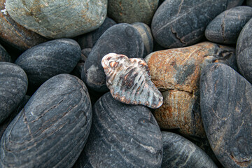 The colors and patterns on the stones are beautiful.
