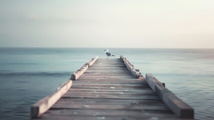 Obraz premium A calm seagull stands on a rustic wooden pier stretching into endless blue ocean waters under a pastel sky.