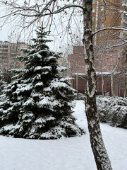 Christmas tree in the snow in the yard