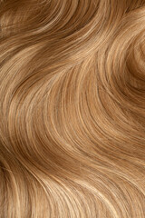 Blond hair close-up as a background. Women's long blonde hair. Beautifully styled wavy shiny curls....