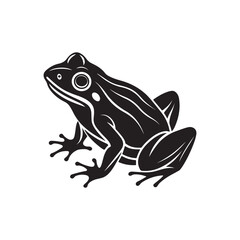 frog silhouette, black and white silhouette, vector and illustration