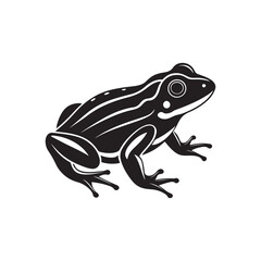 frog silhouette, black and white silhouette, vector and illustration