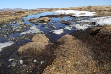 Mayar and Driesh munros - Glen Clova - Cairngorms National Park - Angus - Scotland - UK