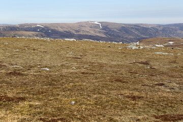 Mayar and Driesh munros - Glen Clova - Cairngorms National Park - Angus - Scotland - UK