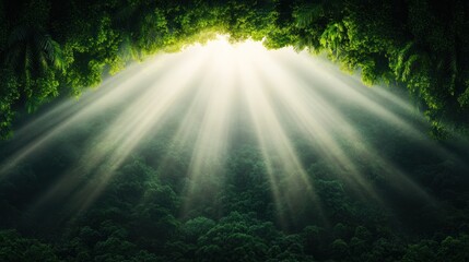 Obraz premium Sunlight streaming through a lush forest canopy.