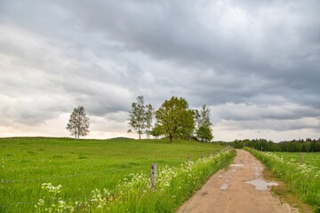 Gravel road between spring green meadow under cloudy sky