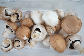 Heap of fresh whole champignons, Button mushrooms