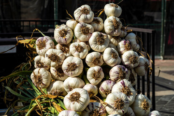 Knoblauch