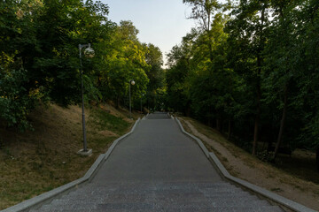 Steps descend gracefully, disappearing amidst the greenery of the park