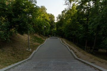 Steps descend gracefully, disappearing amidst the greenery of the park